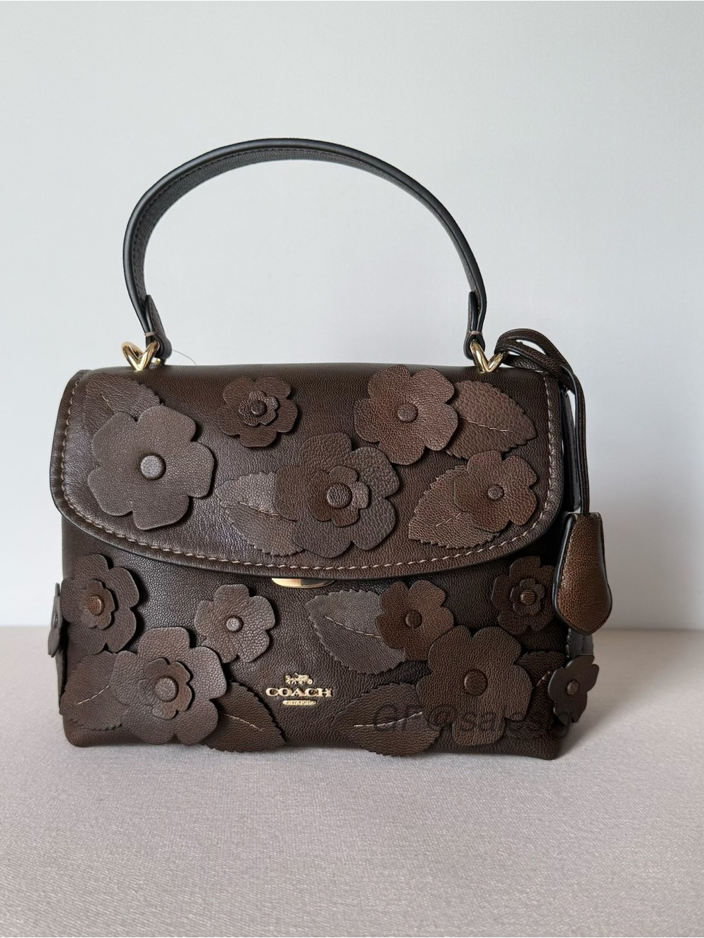 NWT Coach Emory Floral Appliqué Leather Top Handle Crossbody Bag Brown Maple